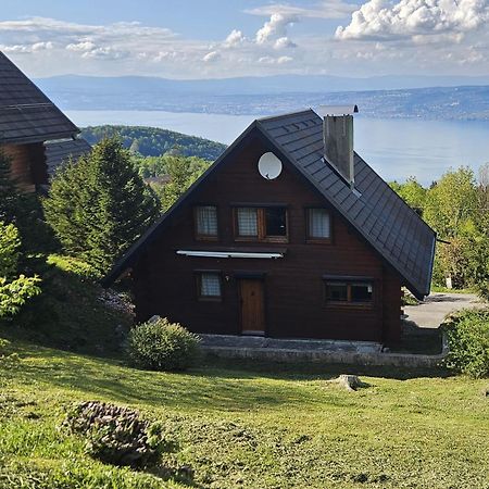 Chalet Les Alpages Vue Panoramique Sur Le Lac Leman Thollon-les-Memises Екстер'єр фото