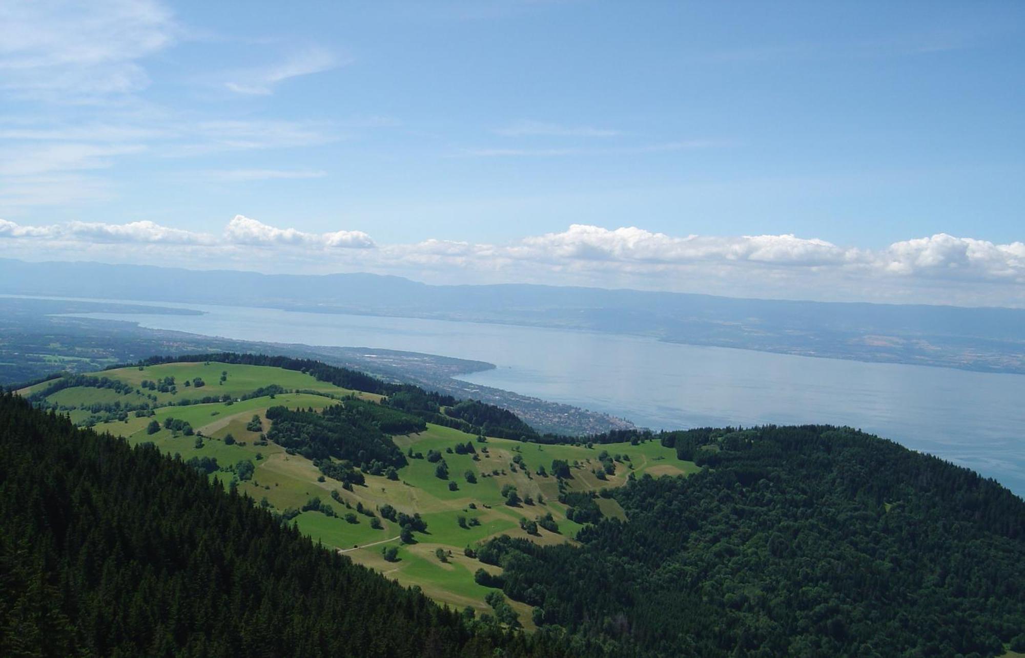 Chalet Les Alpages Vue Panoramique Sur Le Lac Leman Thollon-les-Memises Екстер'єр фото