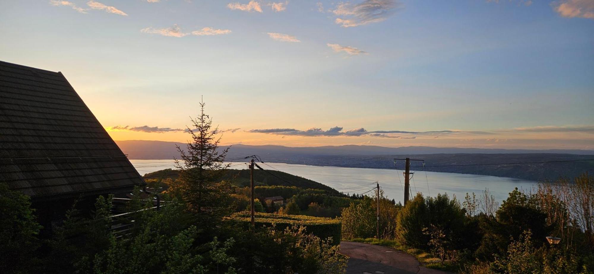 Chalet Les Alpages Vue Panoramique Sur Le Lac Leman Thollon-les-Memises Екстер'єр фото