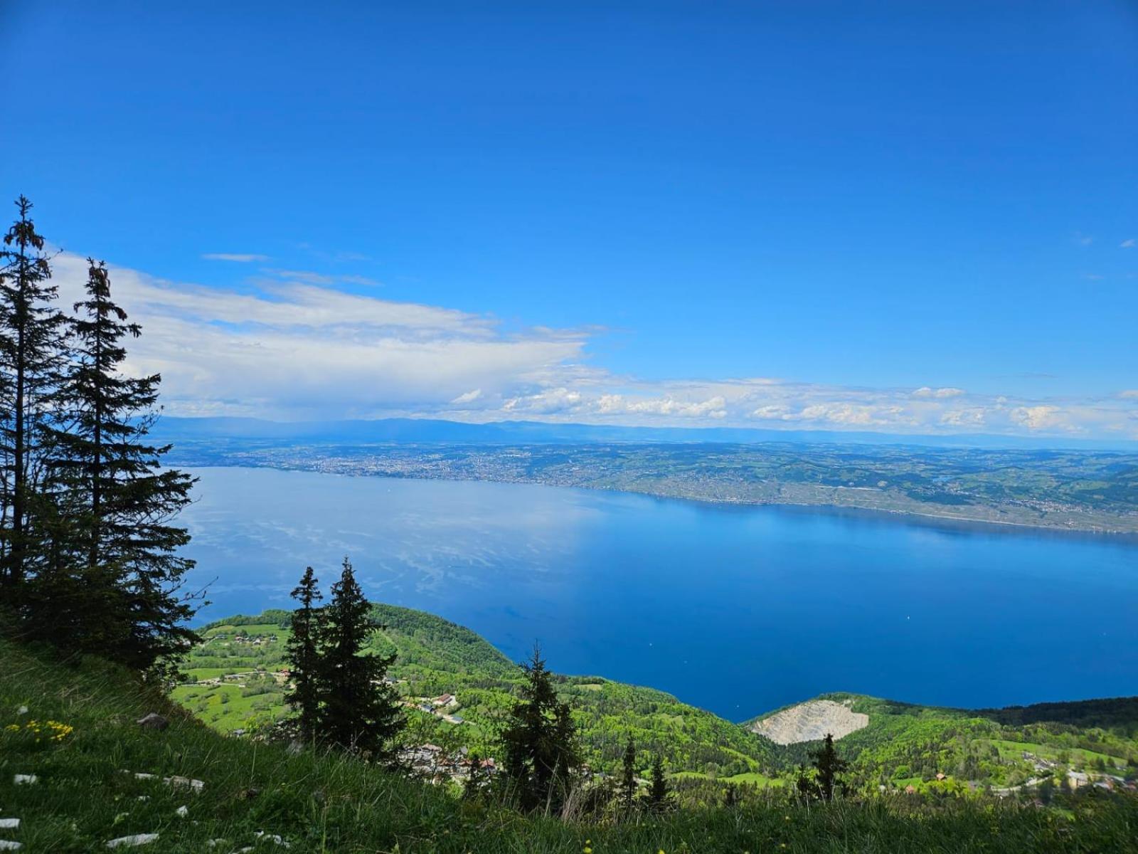 Chalet Les Alpages Vue Panoramique Sur Le Lac Leman Thollon-les-Memises Екстер'єр фото