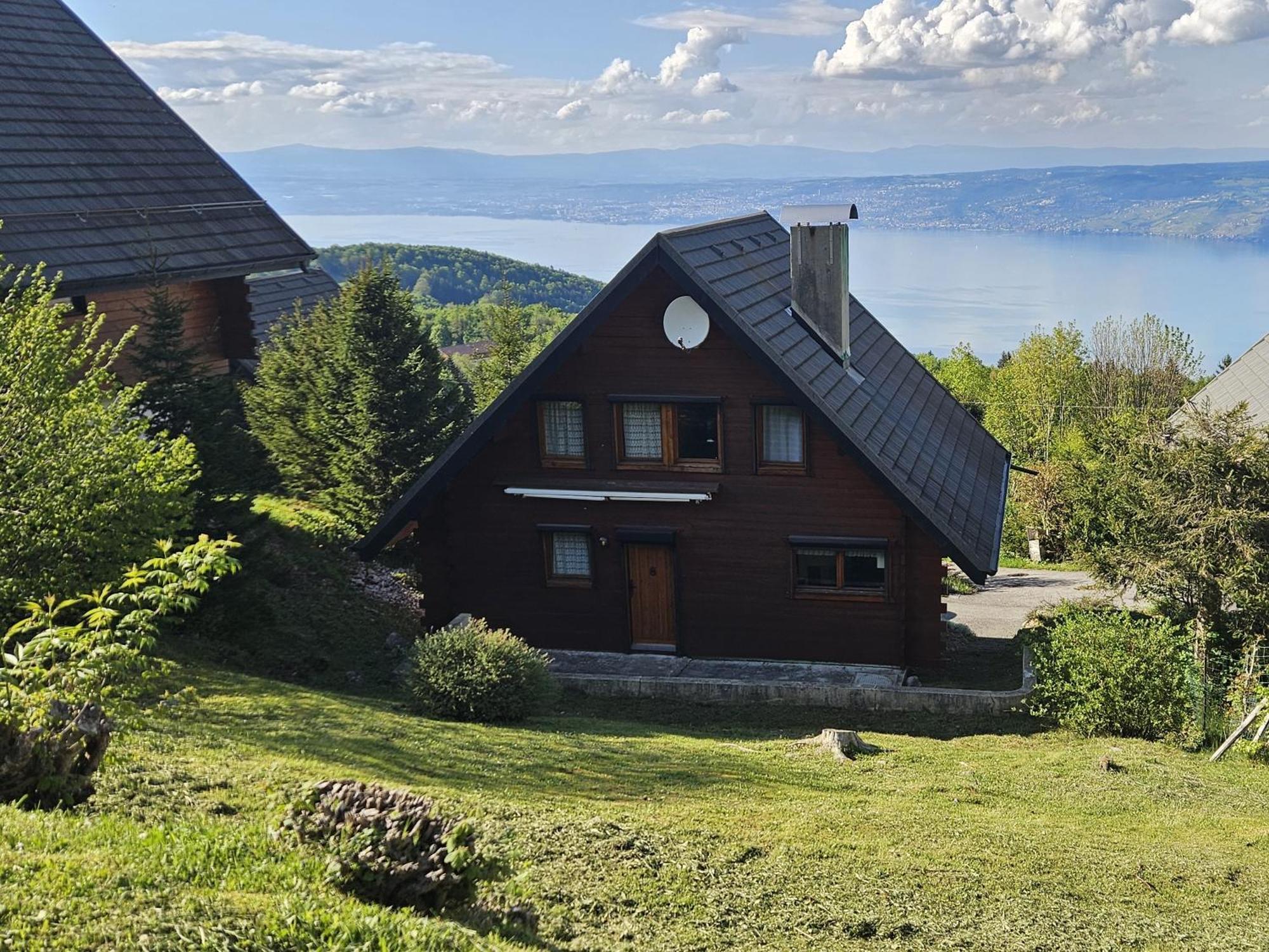 Chalet Les Alpages Vue Panoramique Sur Le Lac Leman Thollon-les-Memises Екстер'єр фото
